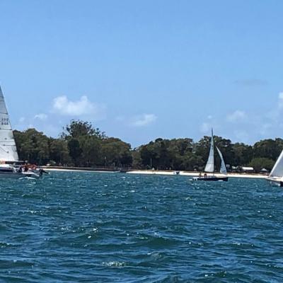 Regatta 20193